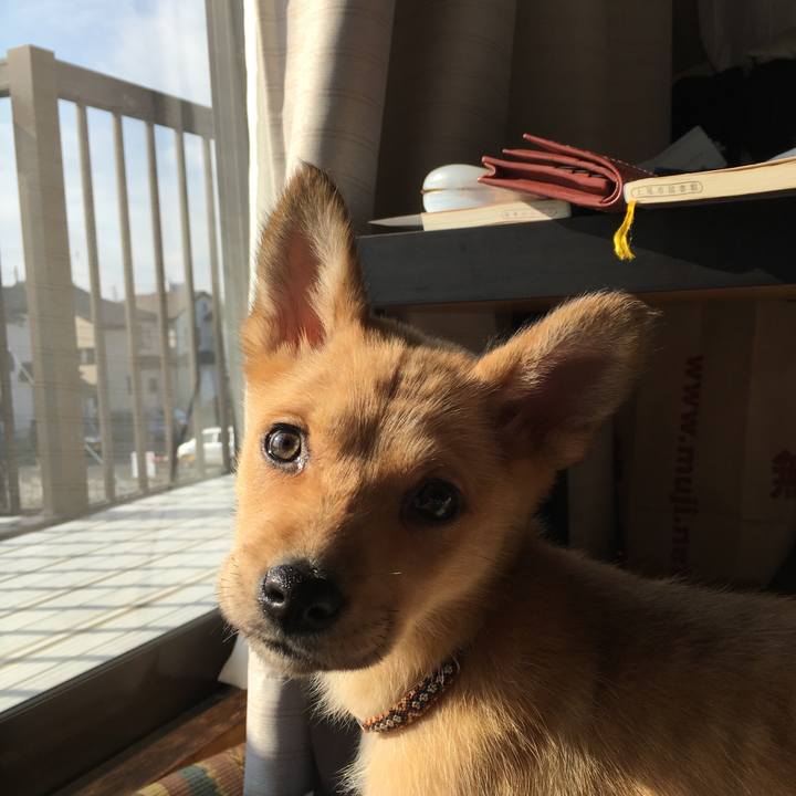 Cb99af0f c4f4 49e2 bd36 c7505d85c990