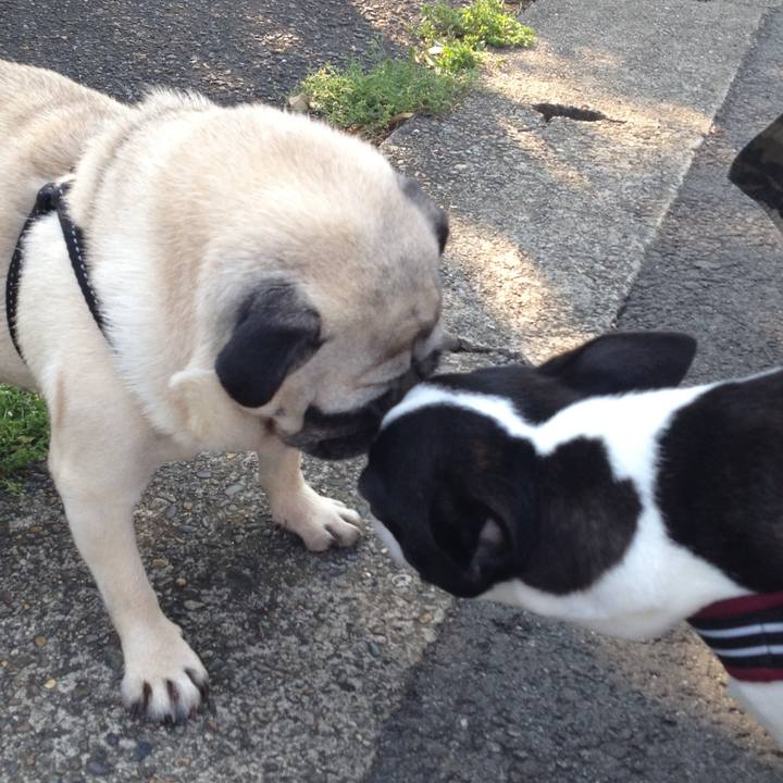 Cb99c7e0 356a 4782 8fb1 580fd3e8c8ed