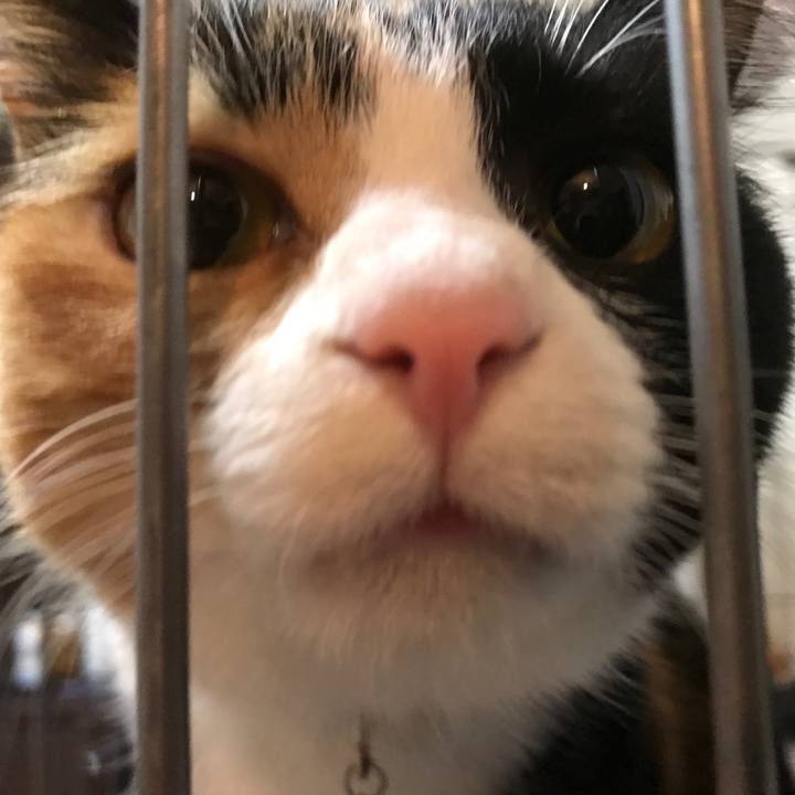 Cb9a1a49 8597 4897 b0ae 524d8bf68f21