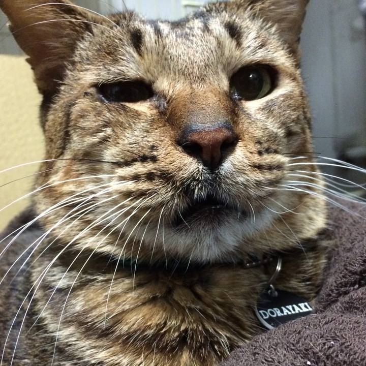 Cb9a2440 ad8d 4d9c b276 e40acd03565b