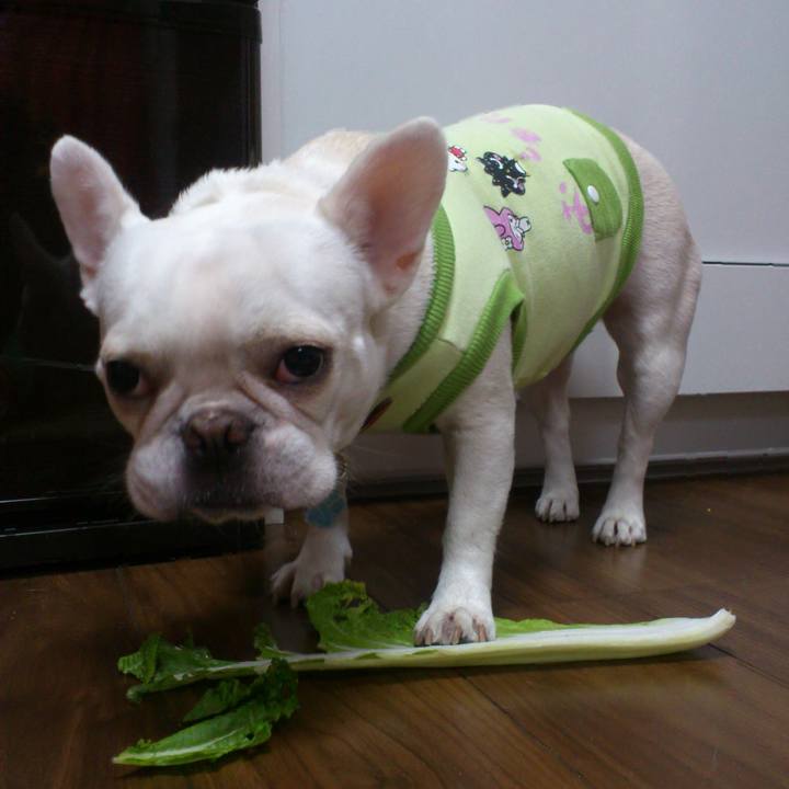 Cb9a313d 8679 4d74 a5db cb09ae444ff1