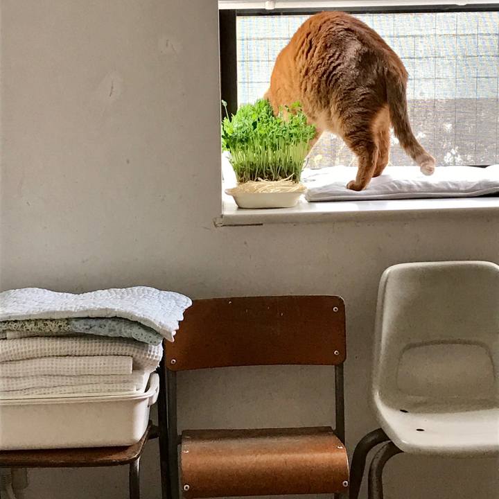 Cb9a4def 027f 44a2 b5e6 81d494694682