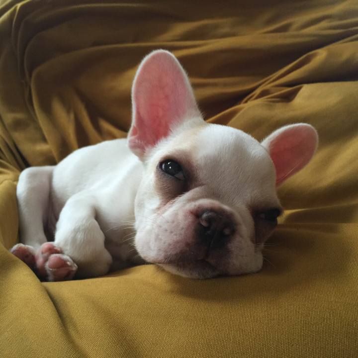 Cb9aaa5b 6588 4032 96c3 ec14092fa191