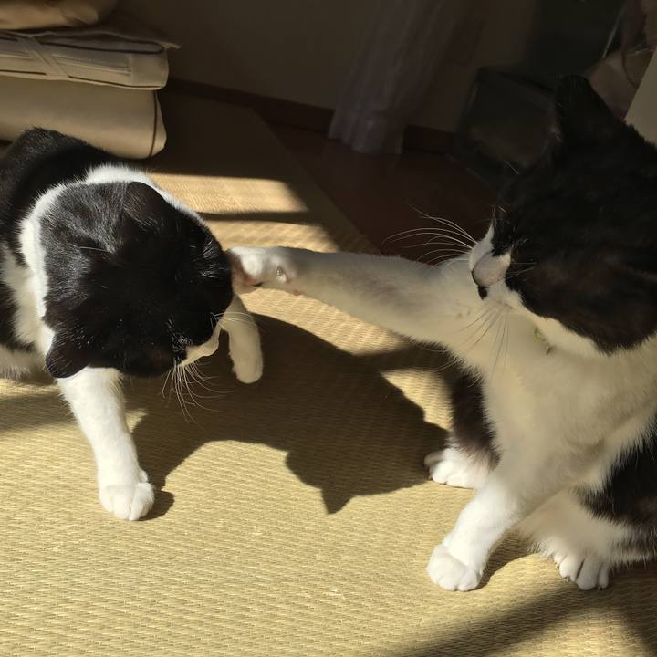 Cb9aaec0 a326 4255 97db f8a7619daedf