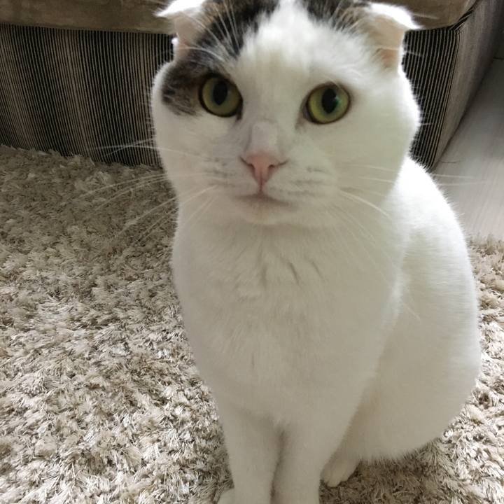 Cb9b229d 3e1b 4ecc bf8e 14ad8d296a75