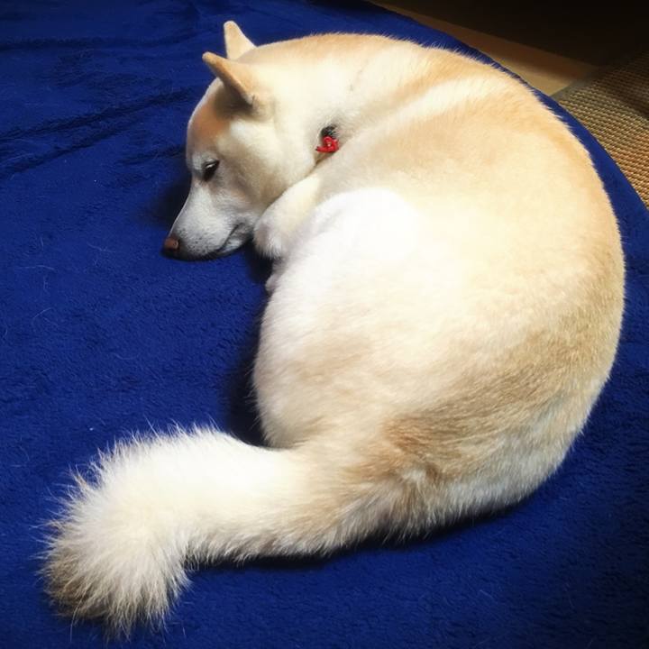 Cb9c14b0 0a6a 44ce 82a3 0584d0ffcc90