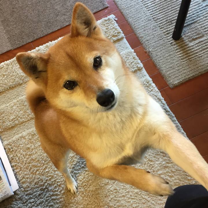 Cb9c5f8c 29e6 4887 a53b 39caa698fbd5