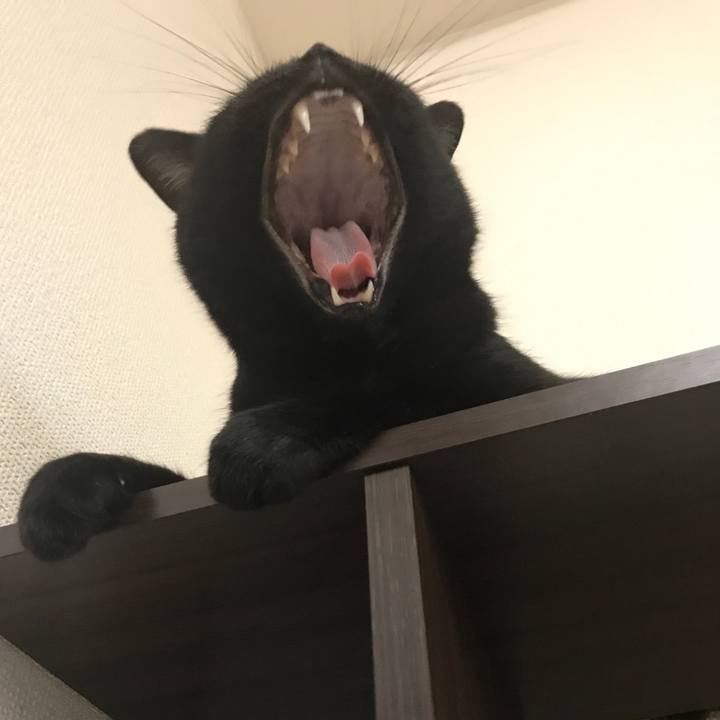 Cb9d103f f9cb 445e 96f0 6767bfcf351f