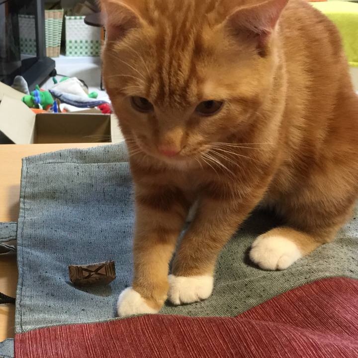 Cb9d7ab9 02e4 46b8 94c3 e23a4279782a