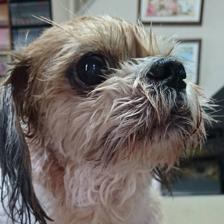 Cb9d8d21 644b 4616 b572 ef30d9afcea4