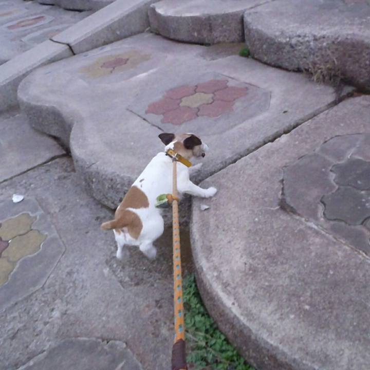 Cb9dab65 3cff 4469 a350 c8e446aac255