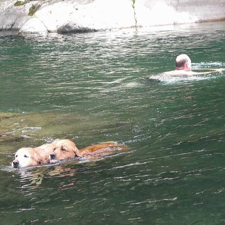 Cb9db72a 3632 4fed a7d2 1043a7ed73be