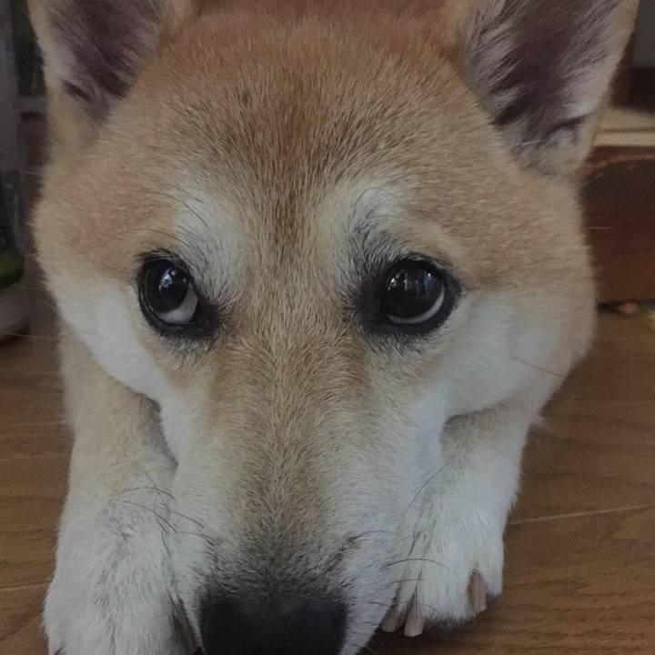 Cb9e4db4 a20c 452f 83cb 080f5e5fbdac