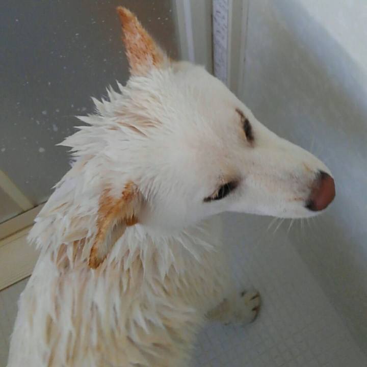 Cb9e9c41 c26f 4f65 8cf8 c2e461954da1