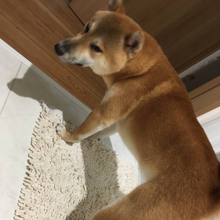 Cb9f41d7 8c1a 4b13 8aab e2b242637997