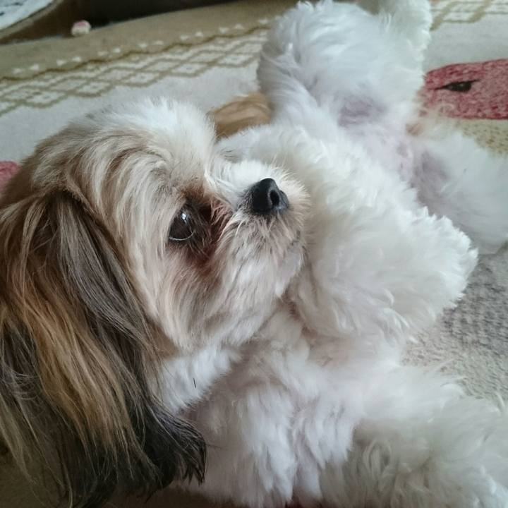 Cb9f7073 027e 4b81 88df f933541f6ba3