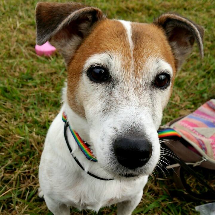 Cb9fae7b 1778 4cb8 9574 5330287231fa