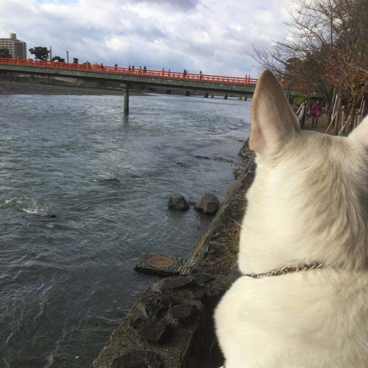 Cba026db 7e5a 410f 978a 31ceec613d9e