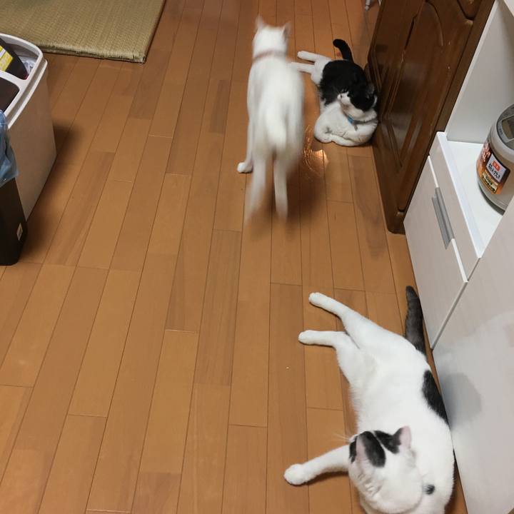 Cba067a7 c222 4321 a643 7caf9446d5d5