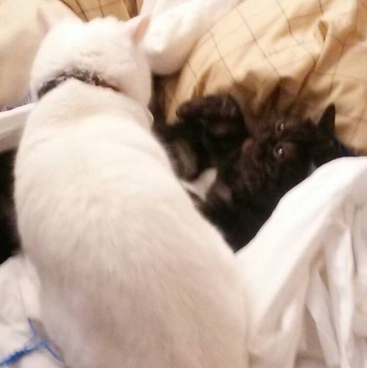 Cba1007c 18d1 4837 96bd 8680989890b6