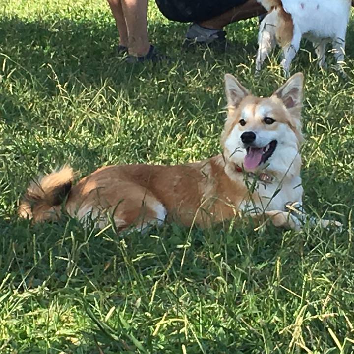 Cba182ac 1afc 49c4 bd4b 1c155bab53d1