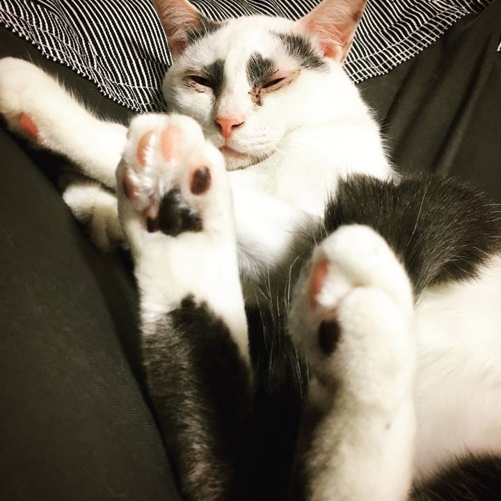 Cba224df bf06 456f bdc4 51d62ae3ef58