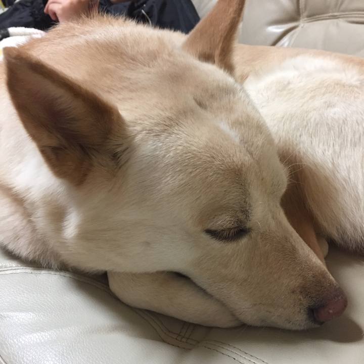 Cba23704 2c33 4fe7 8a53 a11246be8bce