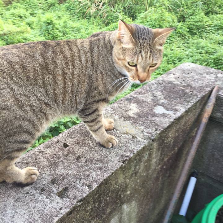 Cba27c2a 559f 4e60 813f 9a8c72f927bb