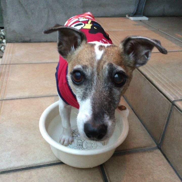 Cba2e1f4 a69f 40c0 8c20 40023536ecf5