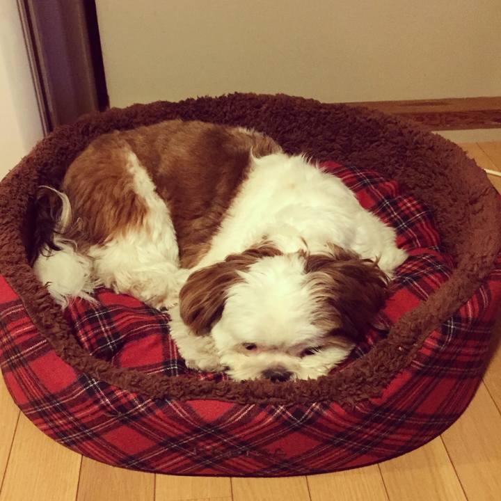 Cba3ba21 f765 45a1 b975 a0db1a3cefea