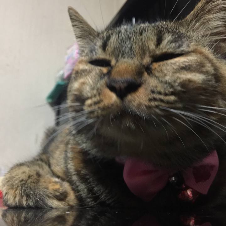 Cba5666f 7464 47fd bdf1 4df028bb54d6