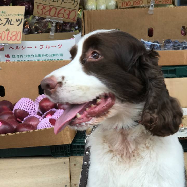 Cba5e8c2 4cde 4307 b585 b26bbcc5df09