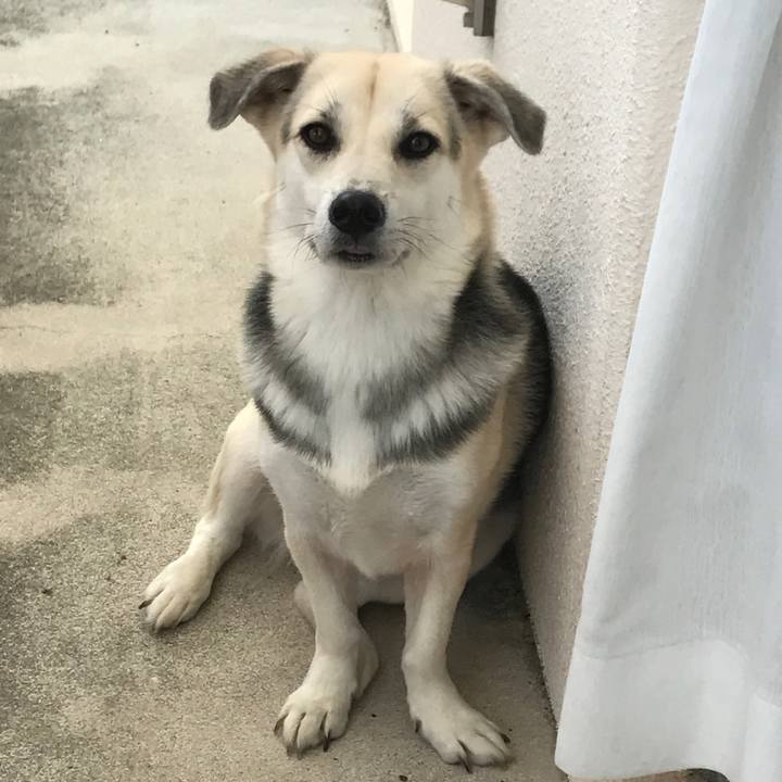 Cba64a37 8ac3 4145 9da2 35bffe8d7e6c