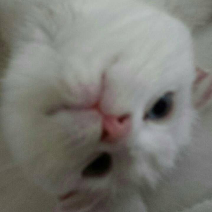 Cba72262 1f1a 4e73 b793 44112ed87f0a