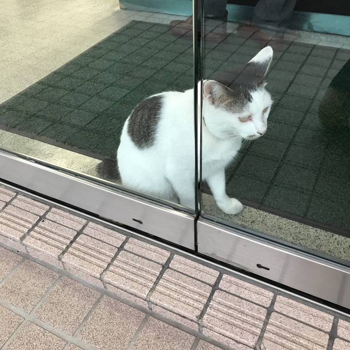 Cba754eb d97e 44dc b8fb cbff869000ed