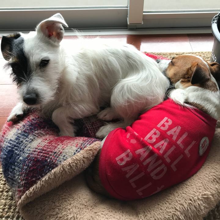 Cba77fda e065 4390 8360 a5cc7c37583f