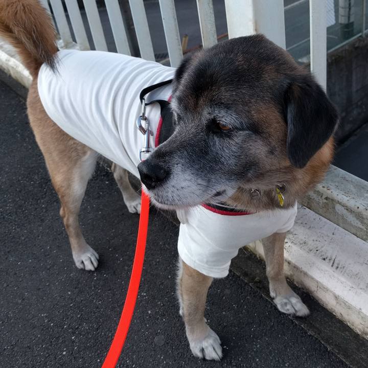 Cba822db b34c 4e54 a32f 02a7b78250c7