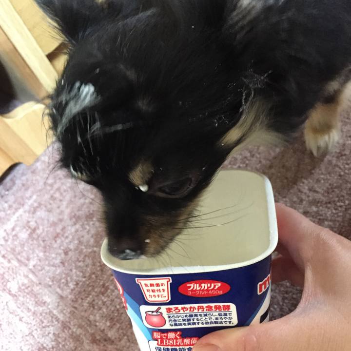 Cba89f8e 5d56 4202 9cad 5e734dece201