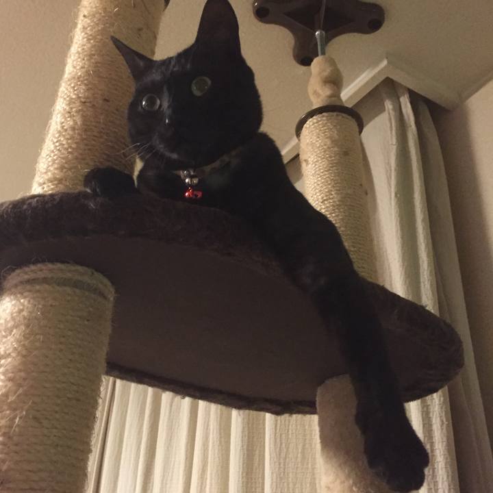 Cbaa20ef 26ee 4a84 a527 a465732cfaba