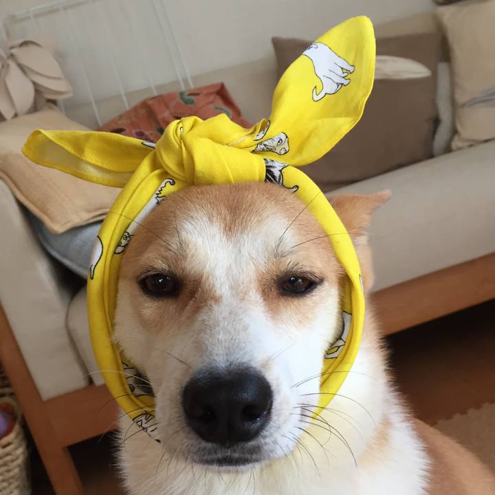 Cbaa744c 1103 4bf8 ae6e 22c4706dc2b4