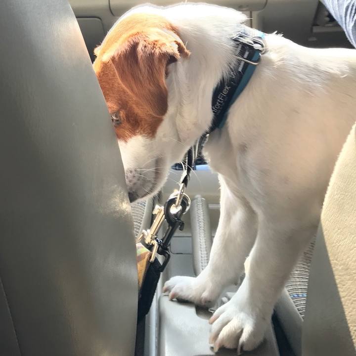 Cbaac241 0107 4c17 90db 8d31ef21487f