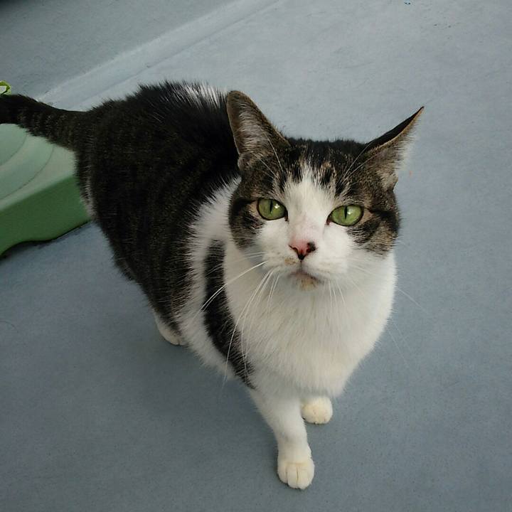 Cbab13ea d383 44f5 9da1 006062306dc8