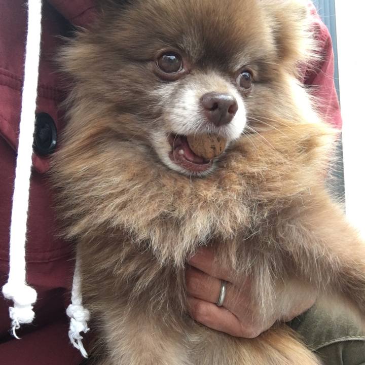 Cbab4064 ca5c 4a45 af67 dd8a28bc3413