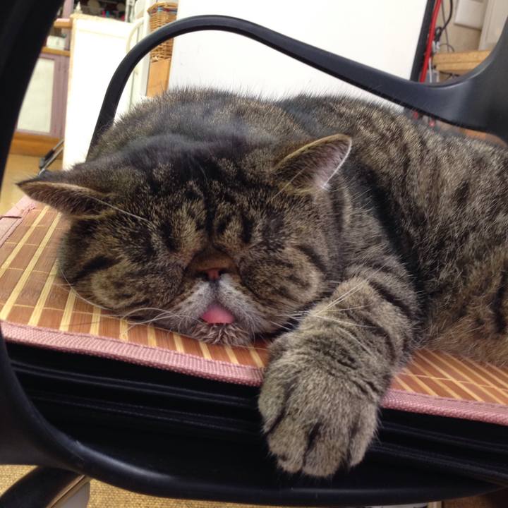 Cbabb6ff 9de4 4917 8be2 f4d5a877f7d1