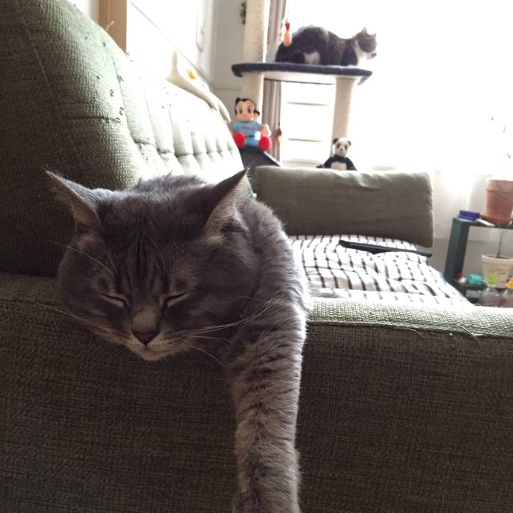 Cbabca80 5ee0 4ead a227 7fdd25f6afc9