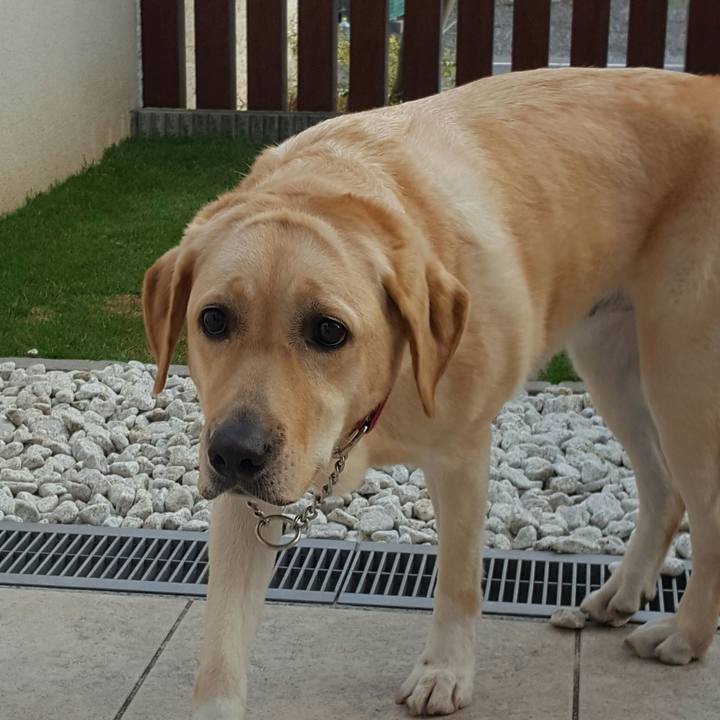 Cbabf2be c849 420a 83b3 bc5bc12a1713