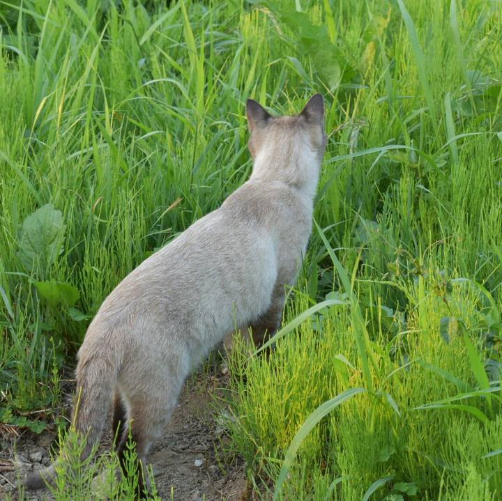 Cbabf9c8 262b 41c8 9782 59182e81cd0e