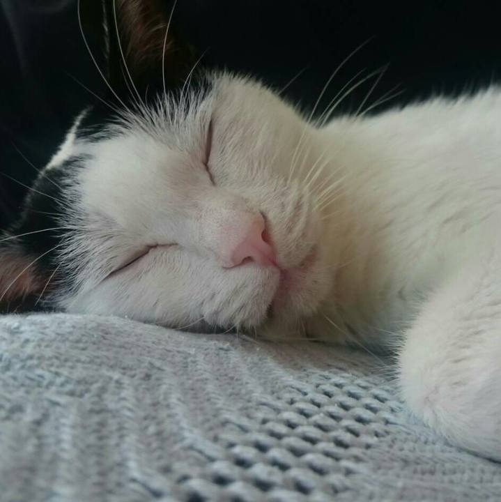 Cbabff13 aece 45c3 9234 21b51bbfc894