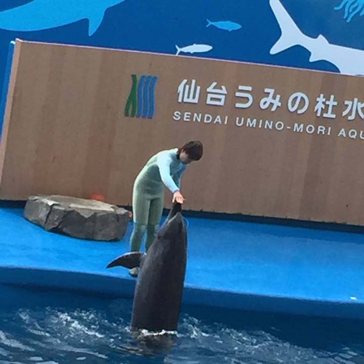 Cbac1910 b0fe 488b bc76 96a49fd07754