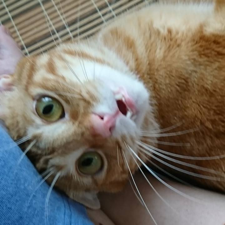 Cbac3c82 6f9c 41db 9d99 fa23f18a64f2